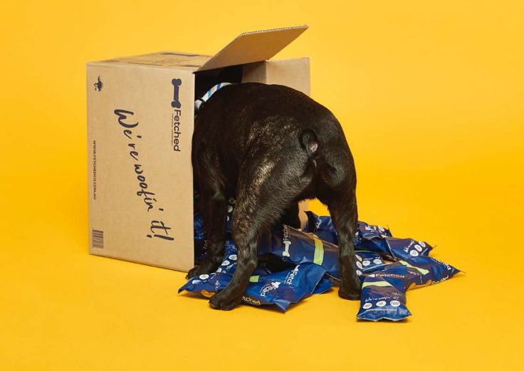 Dog Food