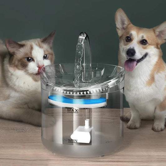 Dispensador de água para animais de estimação com circulação automática, temperatura constante inteligente, silencioso e elétrico. Acessório para animais de estimação.