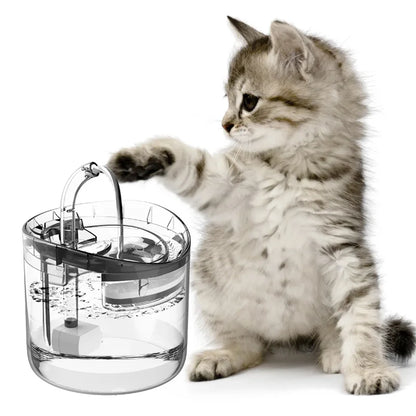 Dispensador de água para animais de estimação com circulação automática, temperatura constante inteligente, silencioso e elétrico. Acessório para animais de estimação.