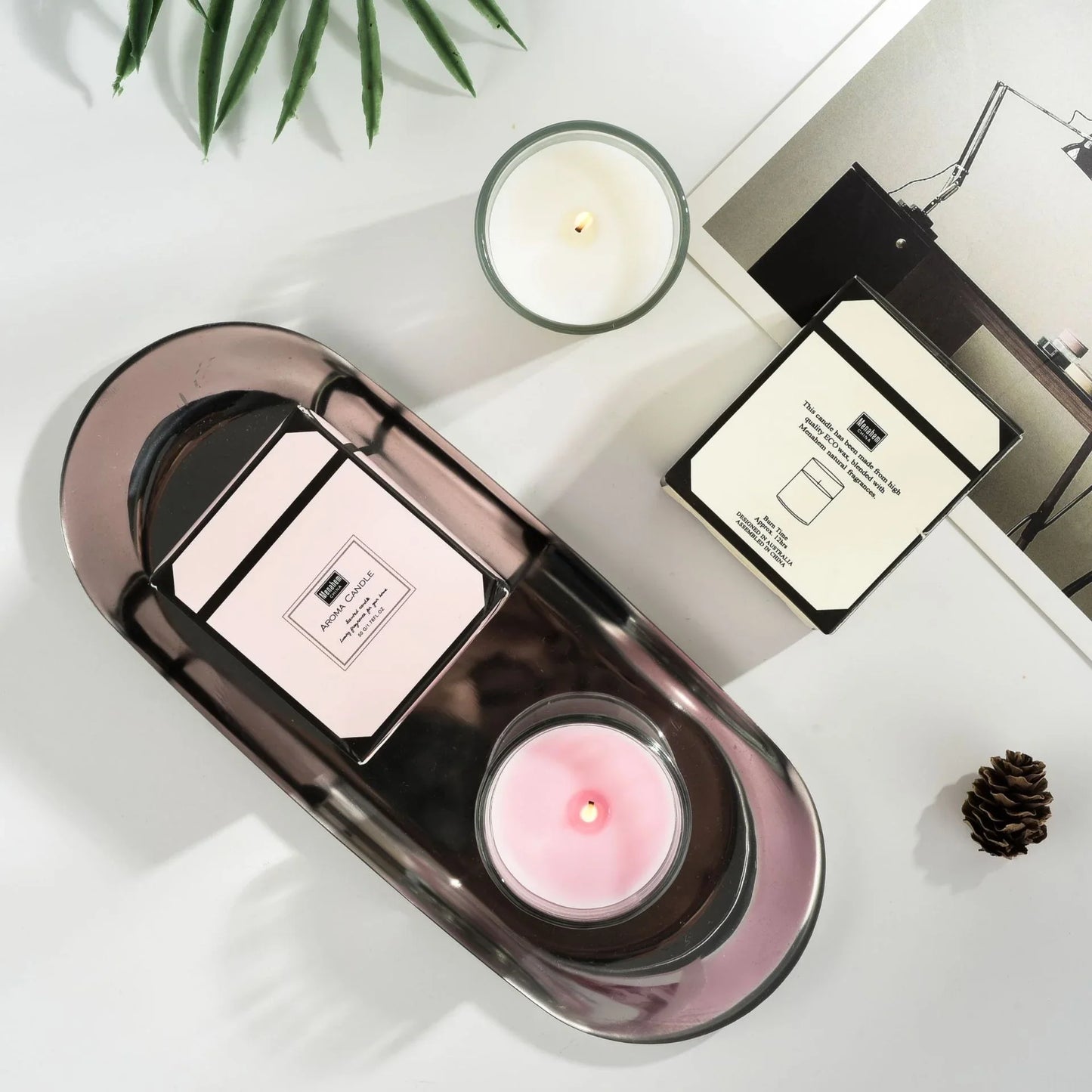 Velas de plantas Aromaterapia Vidro Fragrância romântica
